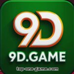 9D Game