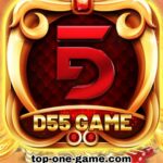 D55 Game