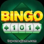 101 bingo games