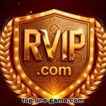 RVIP GAME