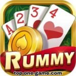 Rummy vip game