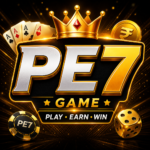PE7 Game